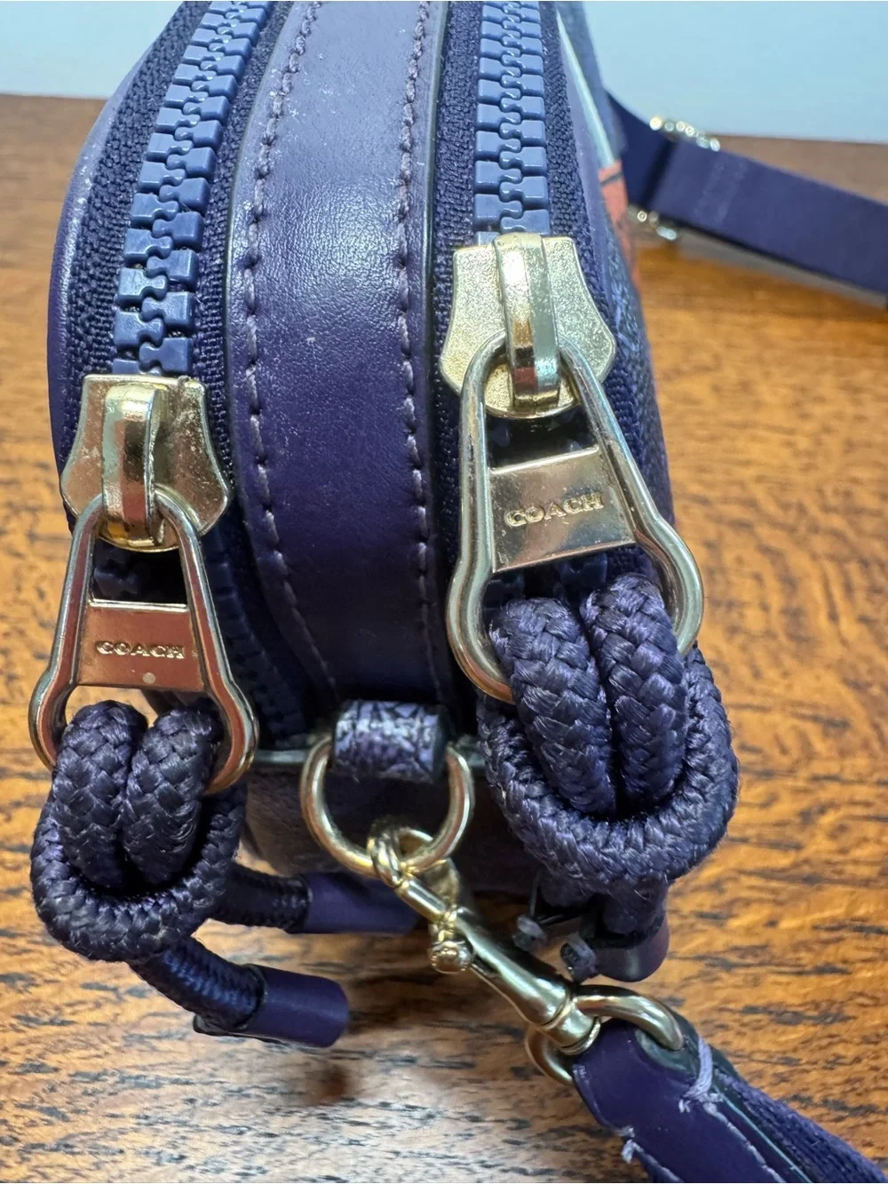 Coach Camera Crossbody Bag w/Horse & Carriage